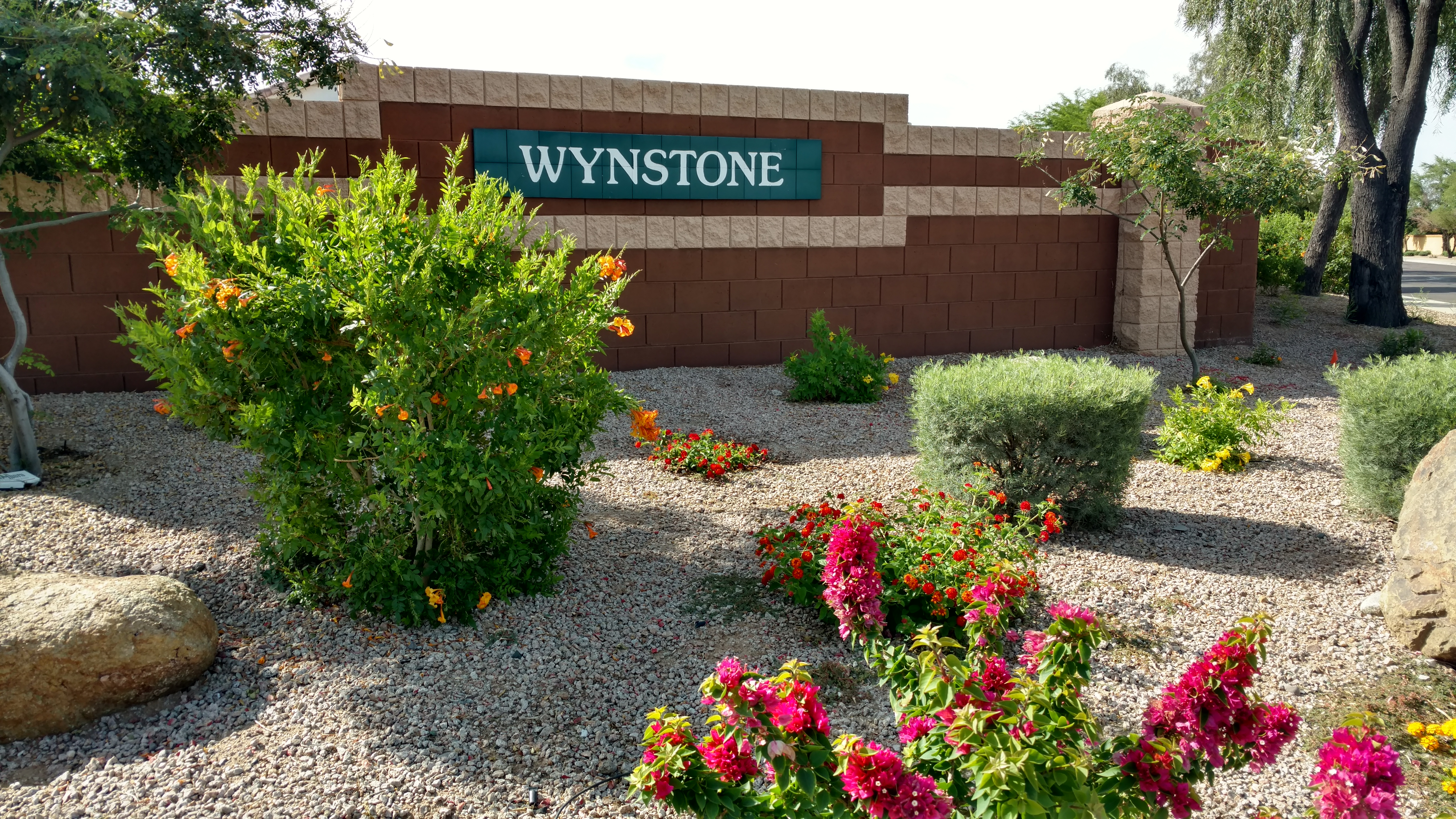 Community Vision Community Management Community Vision Community Management